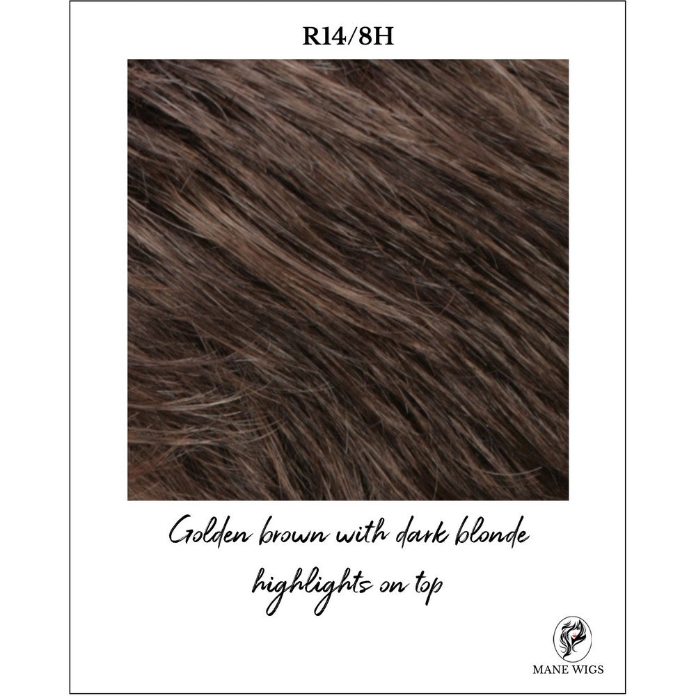 R14/8H-Golden brown with dark blonde highlights on top