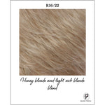 Load image into Gallery viewer, R16/22-Honey blonde and light ash blonde blend
