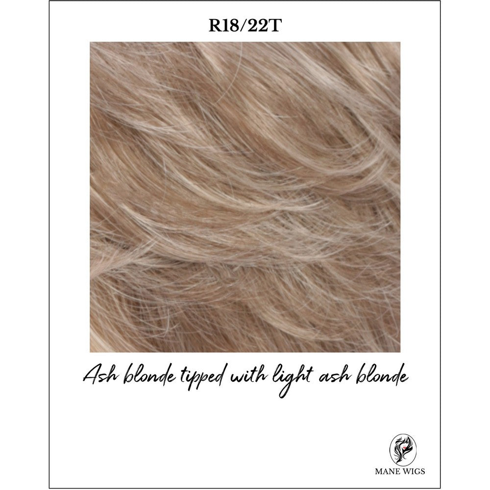 R18/22T-Ash blonde tipped with light ash blonde