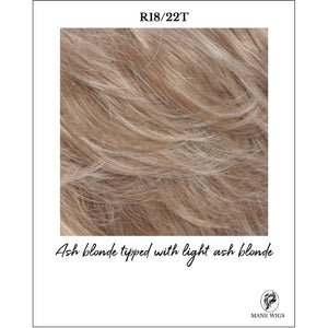 R18/22T-Ash blonde tipped with light ash blonde