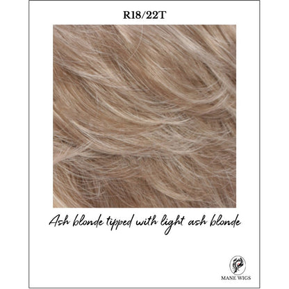 R18/22T-Ash blonde tipped with light ash blonde