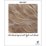 Load image into Gallery viewer, R18/22T-Ash blonde tipped with light ash blonde
