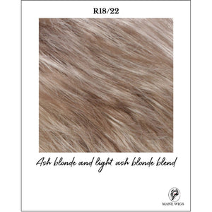 R18/22-Ash blonde and light ash blonde blend