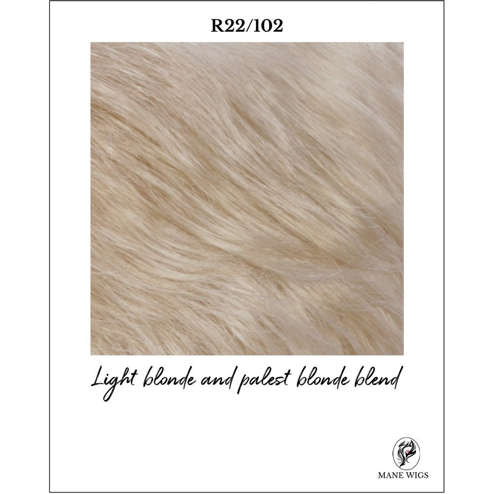 R22/102-Light blonde and palest blonde blend