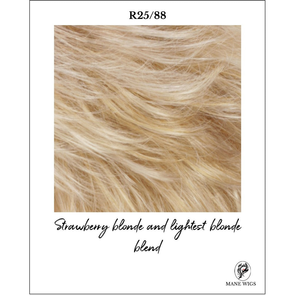R25/88-Strawberry blonde and lightest blonde blend