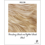 Load image into Gallery viewer, R25/88-Strawberry blonde and lightest blonde blend
