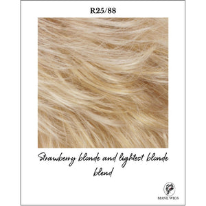 R25/88-Strawberry blonde and lightest blonde blend