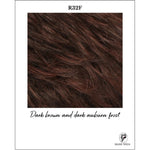 Load image into Gallery viewer, R32F-Dark brown and dark auburn frost
