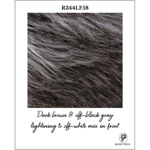 R344LF58-Dark brown & off-black gray lightening to off-white mix in front
