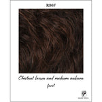 Load image into Gallery viewer, R36F-Chestnut brown and medium auburn frost
