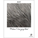 Load image into Gallery viewer, R56T-Medium 3-tone gray blend

