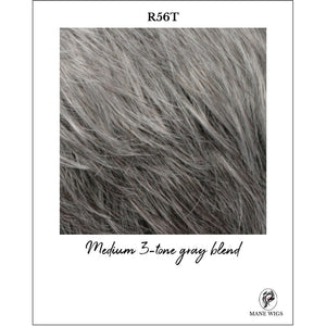 R56T-Medium 3-tone gray blend