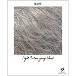 Load image into Gallery viewer, R59T-Light 3-tone gray blend
