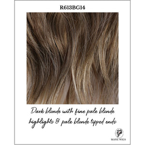 R613BG14-Dark blonde with fine pale blonde highlights & pale blonde tipped ends