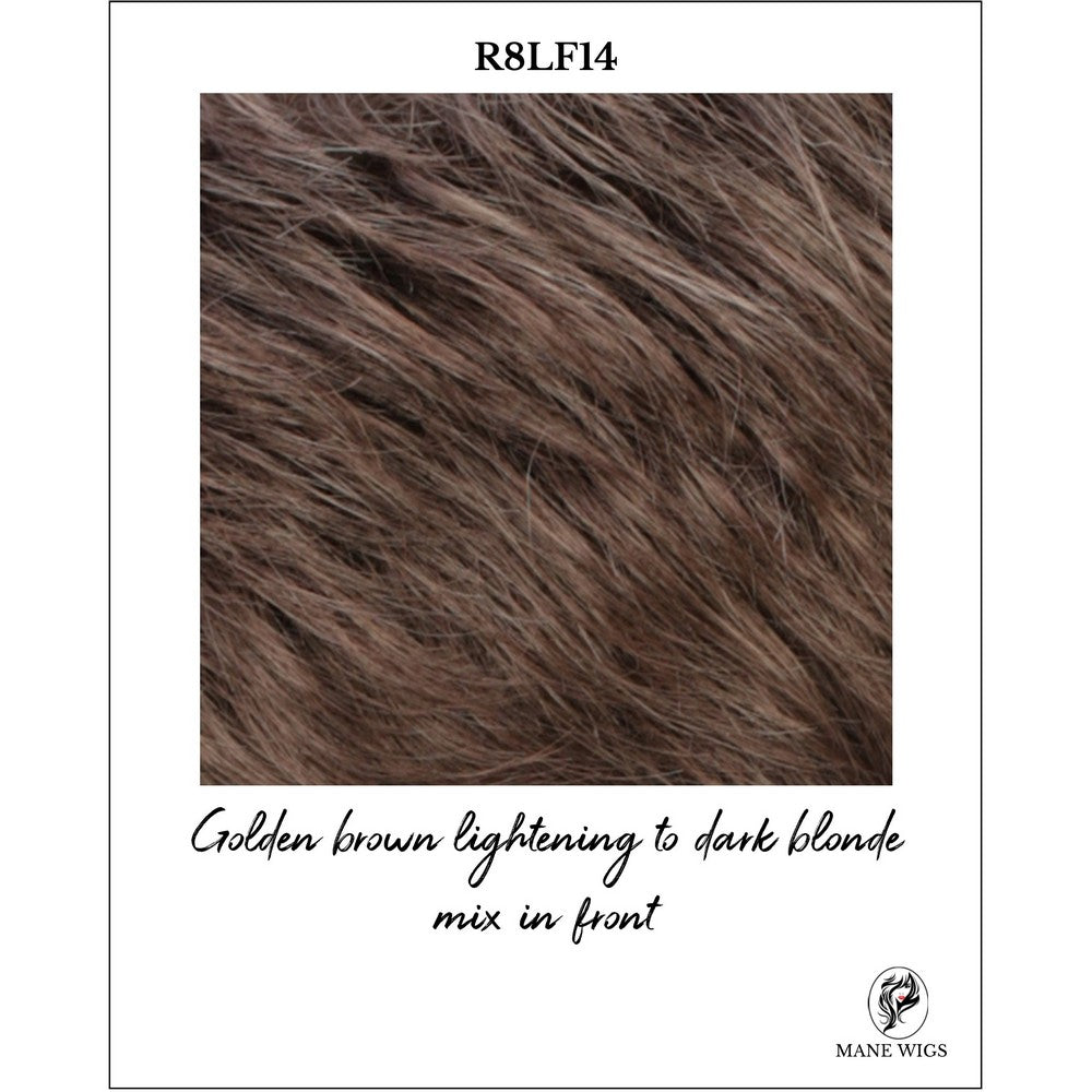 R8LF14-Golden brown lightening to dark blonde mix in front