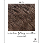 Load image into Gallery viewer, R8LF14-Golden brown lightening to dark blonde mix in front

