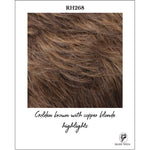 Load image into Gallery viewer, RH268-Golden brown with copper blonde highlights

