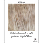 Load image into Gallery viewer, ROM1488-Dark blonde base with a subtle graduation to lightest blonde
