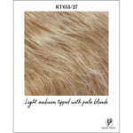 Load image into Gallery viewer, RT613/27-Light auburn tipped with pale blonde
