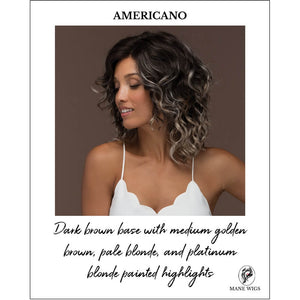 AMERICANO-Dark brown base with medium golden brown, pale blonde, and platinum blonde painted highlights