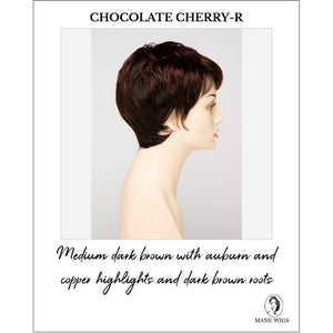 Fiona By Envy in Chocolate Cherry-R-Medium dark brown with auburn and copper highlights and dark brown roots