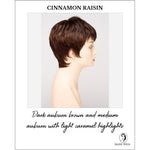 Load image into Gallery viewer, Fiona By Envy in Cinnamon Raisin-Dark auburn brown and medium auburn with light caramel highlights
