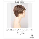 Load image into Gallery viewer, Fiona By Envy in Dark Grey-Dark brown, medium ash brown and medium gray
