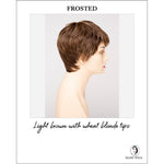 Load image into Gallery viewer, Fiona By Envy in Frosted-Light brown with wheat blonde tips
