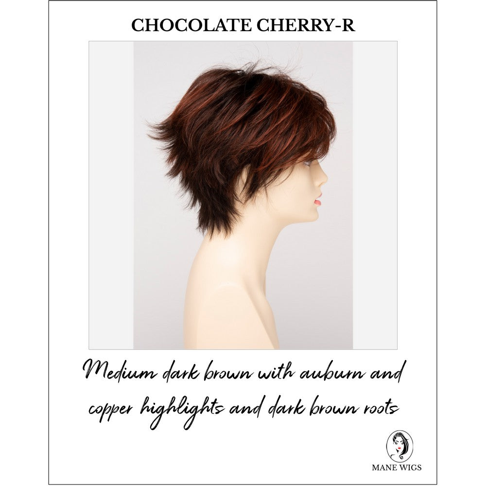 Flame By Envy in Chocolate Cherry-R-Medium dark brown with auburn and copper highlights and dark brown roots