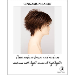Flame By Envy in Cinnamon Raisin-Dark auburn brown and medium auburn with light caramel highlights