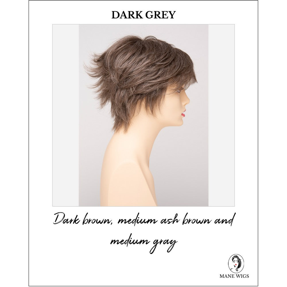 Flame By Envy in Dark Grey-Dark brown, medium ash brown and medium gray