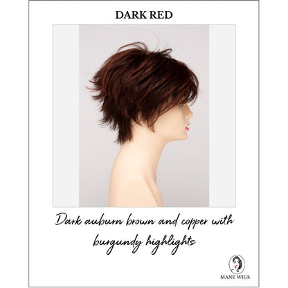 Flame By Envy in Dark Red-Dark auburn brown and copper with burgundy highlights