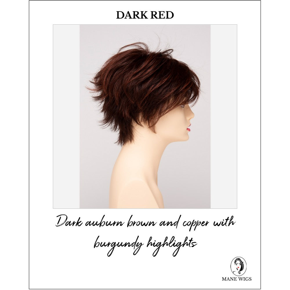 Flame By Envy in Dark Red-Dark auburn brown and copper with burgundy highlights