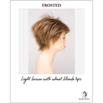 Load image into Gallery viewer, Flame By Envy in Frosted-Light brown with wheat blonde tips
