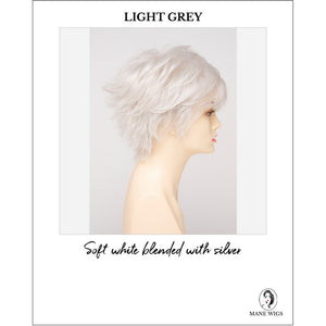 Flame By Envy in Light Grey-Soft white blended with silver