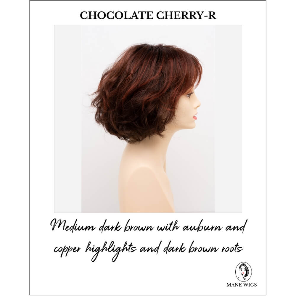 Gia by Envy in Chocolate Cherry-R-Medium dark brown with auburn and copper highlights and dark brown roots