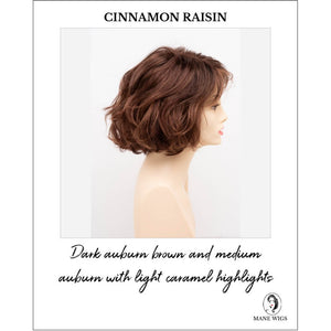 Gia by Envy in Cinnamon Raisin-Dark brown and medium auburn with light caramel highlights