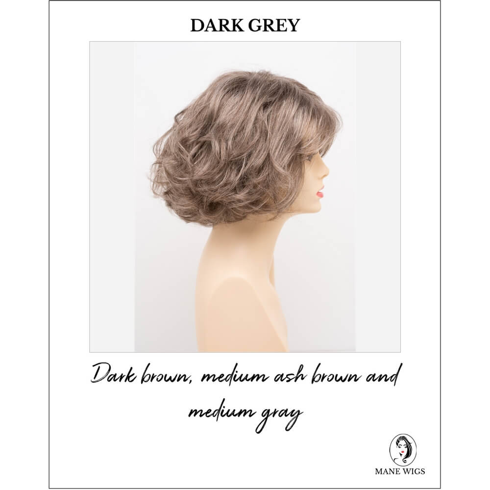 Gia by Envy in Dark Grey-Dark brown, medium ash brown and medium gray