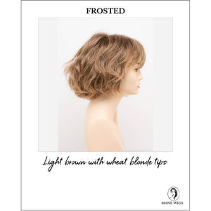 Gia by Envy in Frosted-Light brown with wheat blonde tips