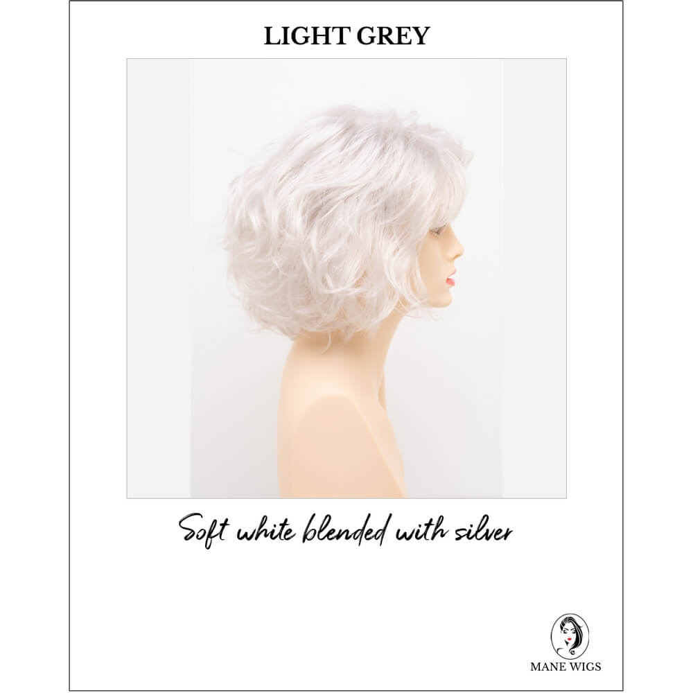 Gia by Envy in Light Grey-Soft white blended with silver