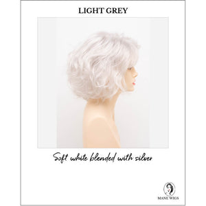 Gia by Envy in Light Grey-Soft white blended with silver