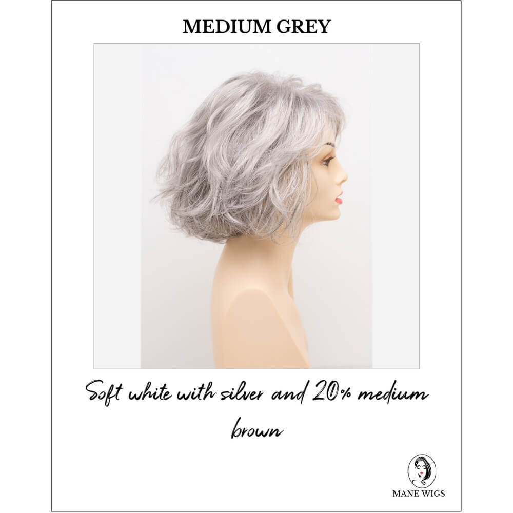 Gia by Envy in Medium Grey-Soft white with silver and 20% medium brown