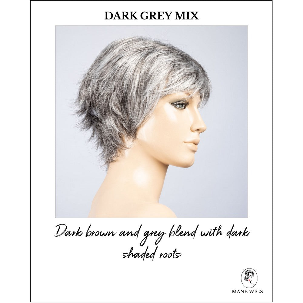 Gilda by Ellen Wille in Dark Grey Mix-Dark brown and grey blend with dark shaded roots