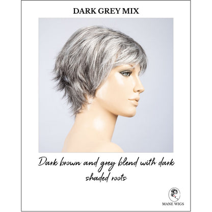 Gilda by Ellen Wille in Dark Grey Mix-Dark brown and grey blend with dark shaded roots