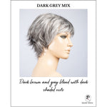 Load image into Gallery viewer, Gilda by Ellen Wille in Dark Grey Mix-Dark brown and grey blend with dark shaded roots
