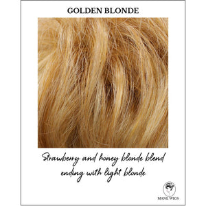 Golden Blonde-Strawberry and honey blonde blend ending with light blonde