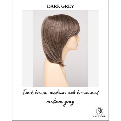 Grace By Envy in Dark Grey-Dark brown, medium ash brown and medium gray