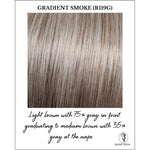 Load image into Gallery viewer, Gradient Smoke (R119G)-Light brown with 75% gray in front graduating to medium brown with 35% gray at the nape

