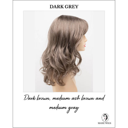 Harmony by Envy in Dark Grey-Dark brown, medium ash brown and medium gray