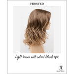 Load image into Gallery viewer, Harmony by Envy in Frosted-Light brown with wheat blonde tips
